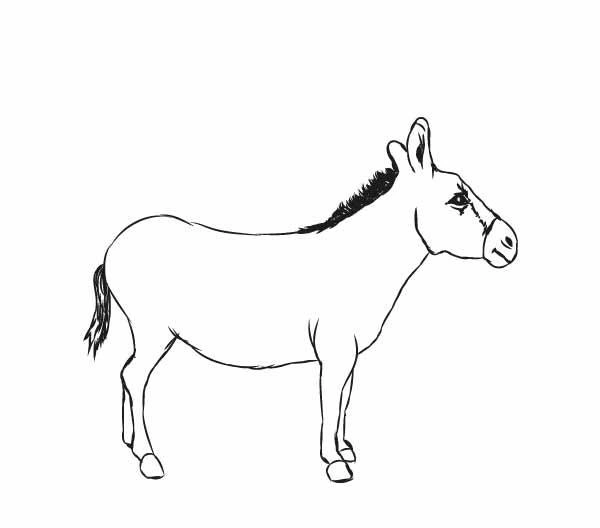 Coloring book proud beautiful donkey Coloring book proud beautiful donkey